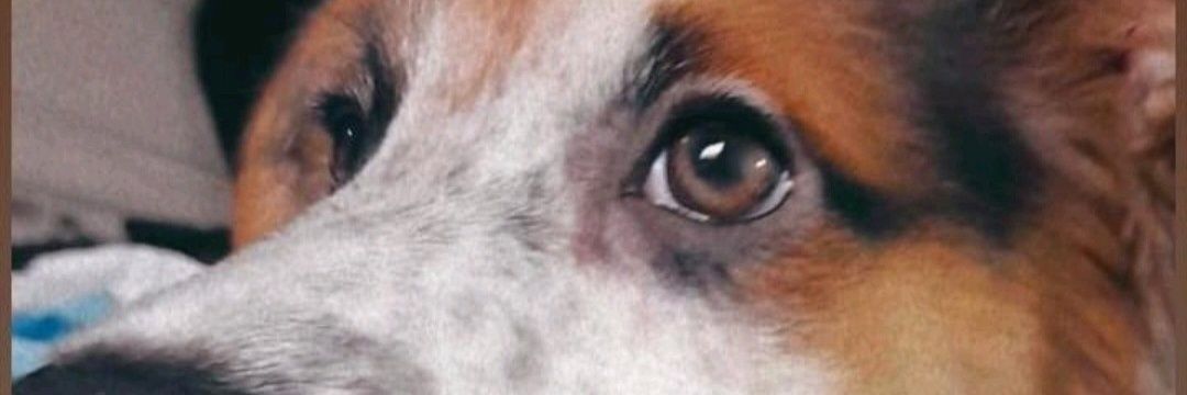 Pateymar01's profile banner image