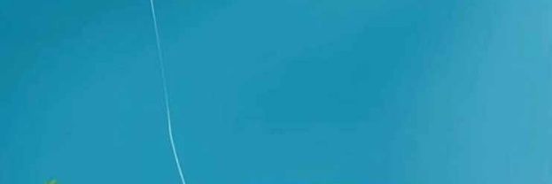 AAdebowales's profile banner image