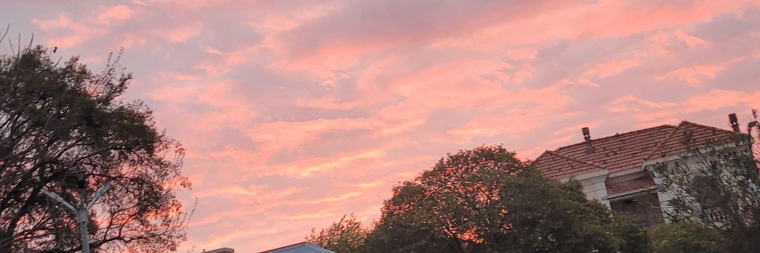 dul💘 banner