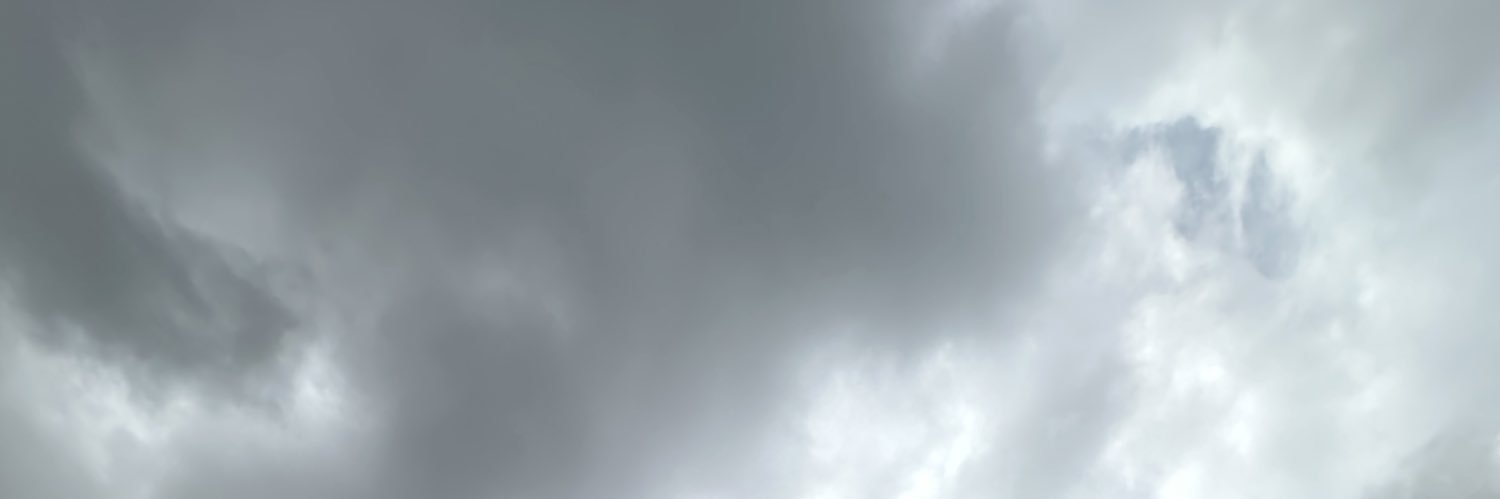 CaliKingFilms's profile banner image
