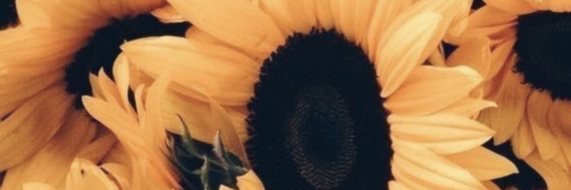 lauravi6's profile banner image