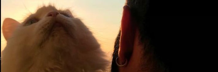 emryampal's profile banner image