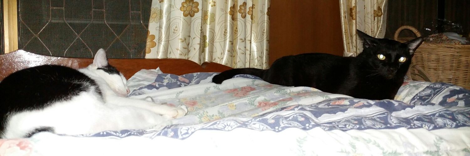 IBBerry96 (rest) banner
