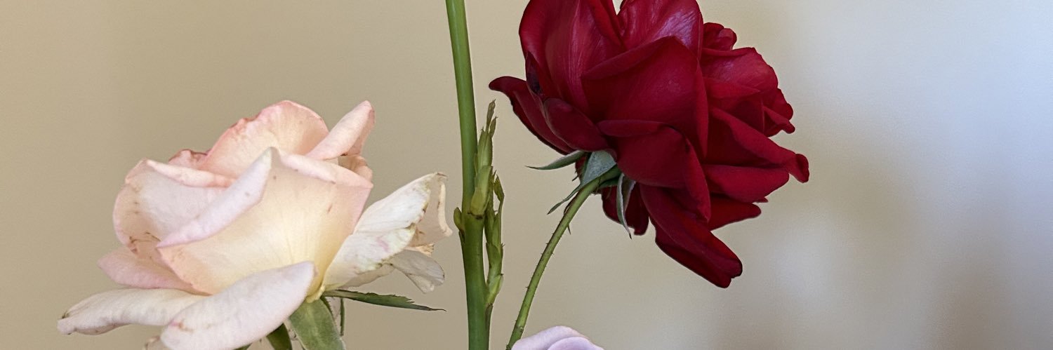 MaureenMalcolm7's profile banner image