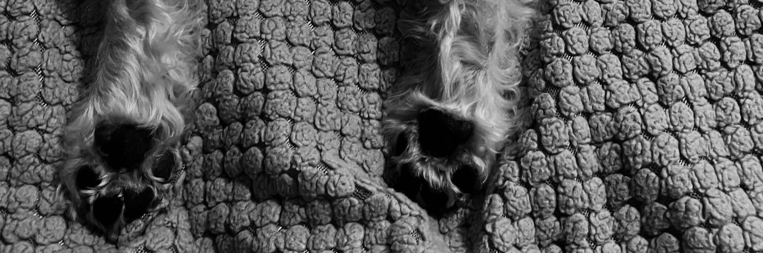 moraixel's profile banner image