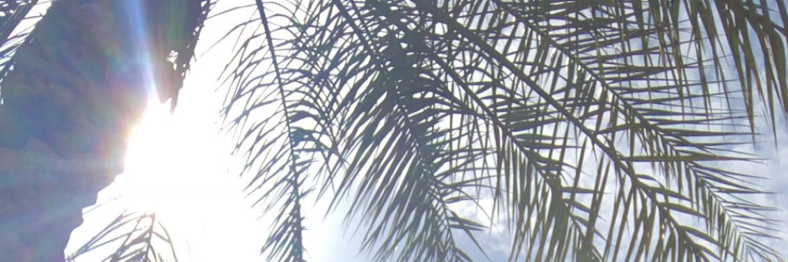 scilla0's profile banner image