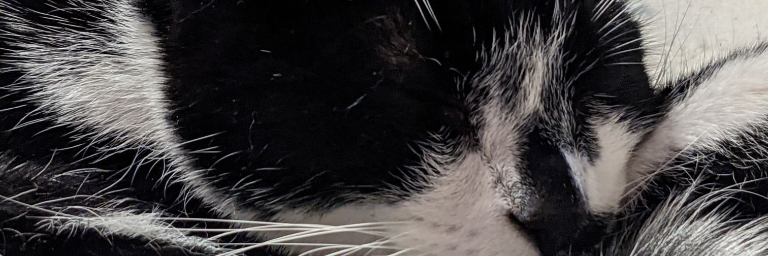 Extra_crispy_'s profile banner image