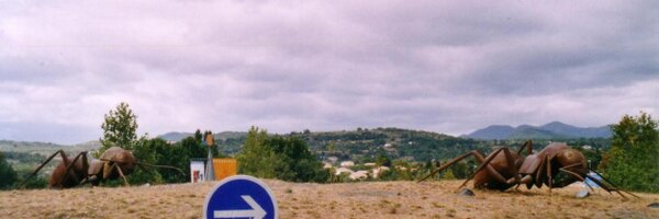 EntoProf Profile Banner