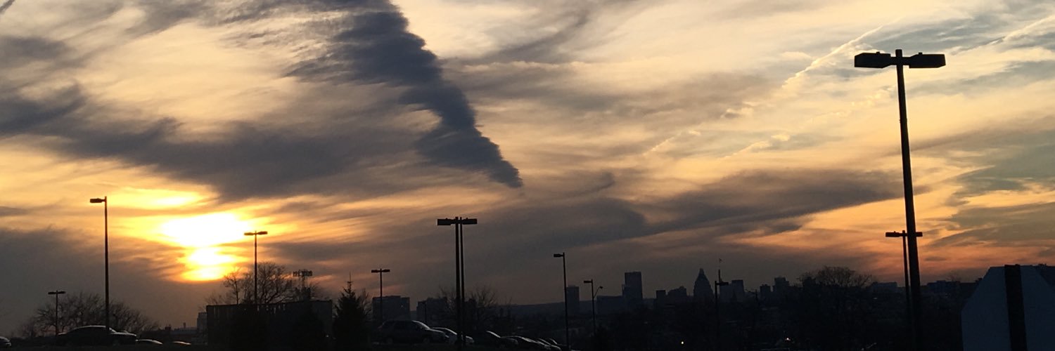 Céline Nicolas banner