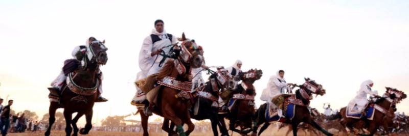 Salwa Eldaghili banner