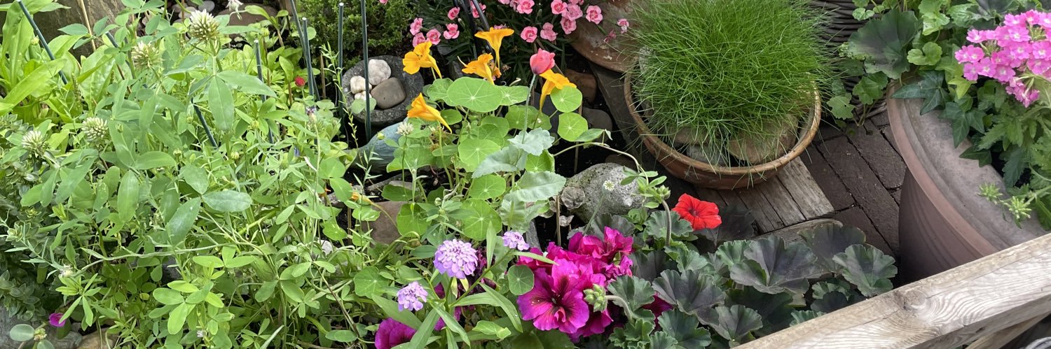 Arlene DeMita banner