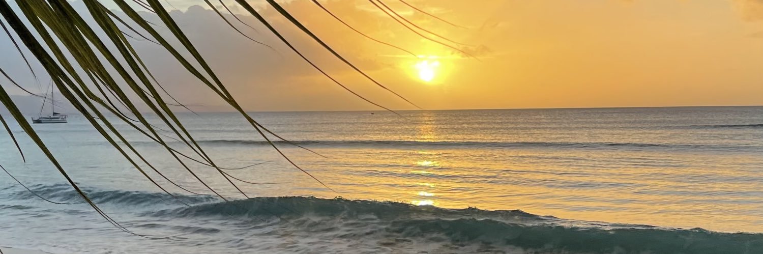 liciarosee's profile banner image