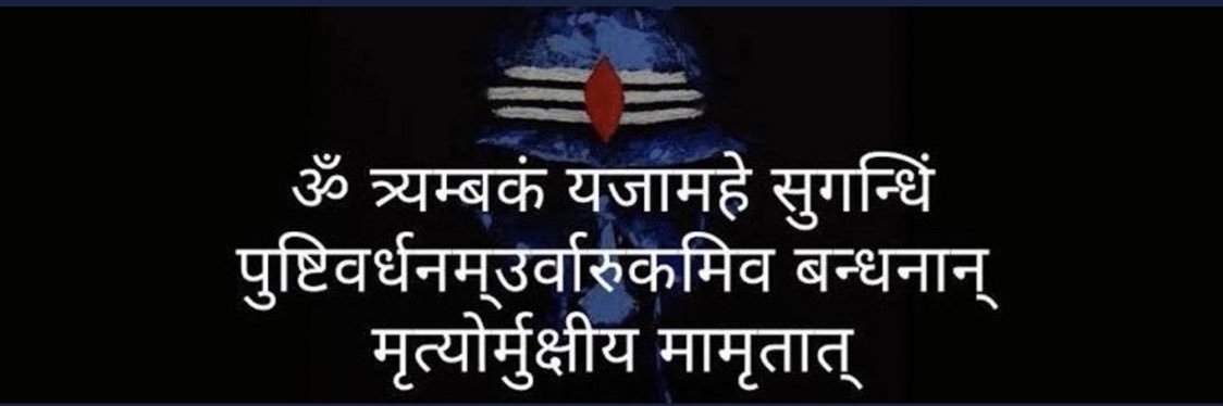 Harbhajan Turbanator's banner