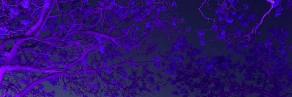 DrNatashaReid Profile Banner