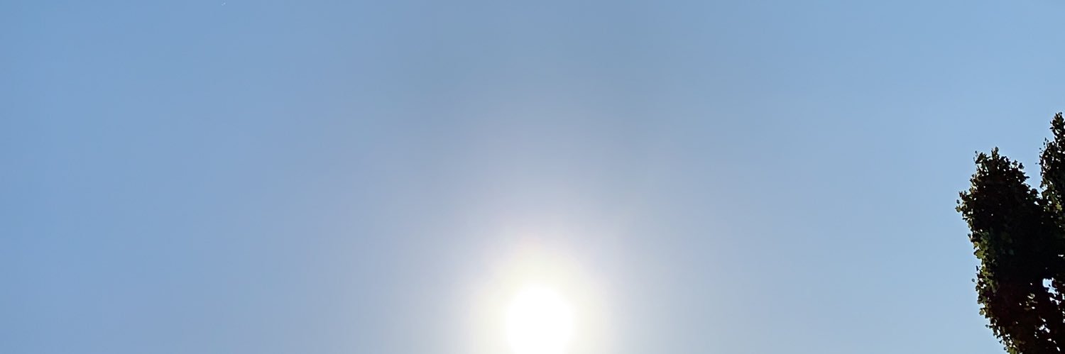ltnsm's profile banner image