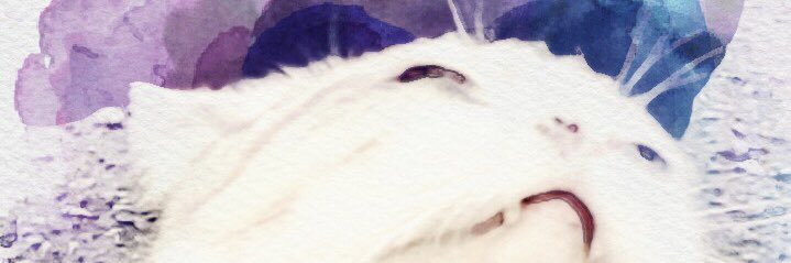 kmkzj's profile banner image