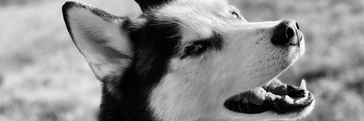 Brian Simpson banner