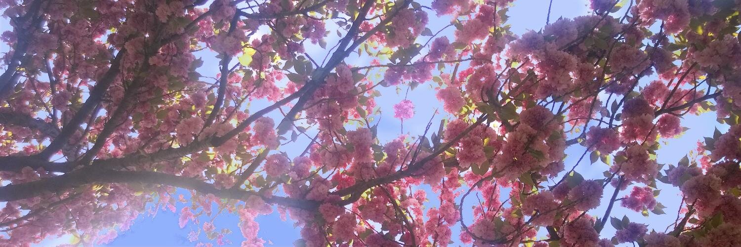 Michael Griffiths banner