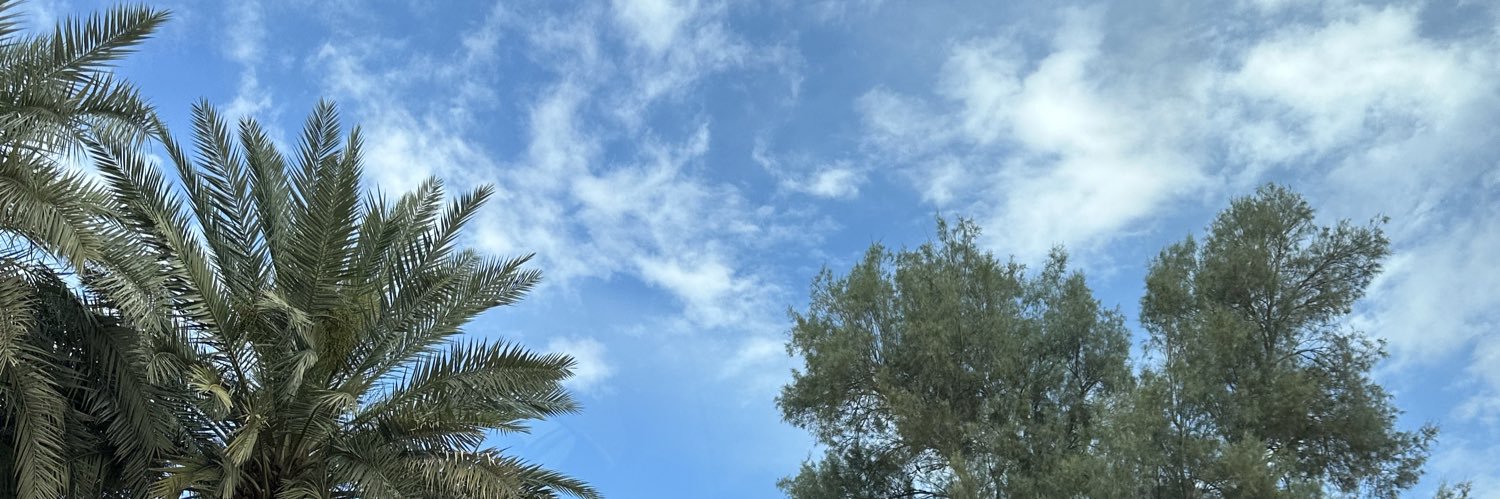 بثينة نصيف banner