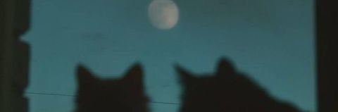 chelm1028's profile banner image