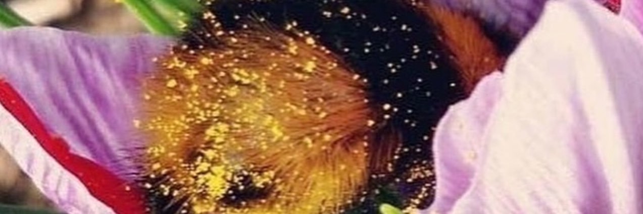 880_RRr's profile banner image