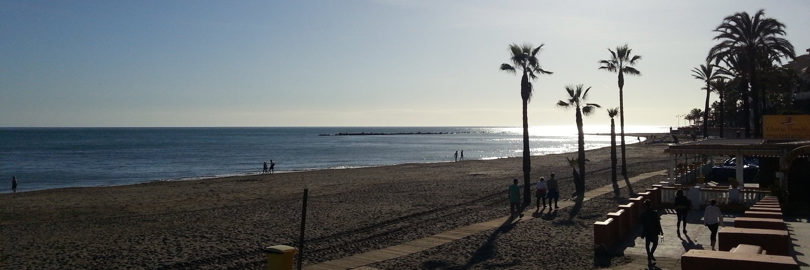 Linda M Evans banner