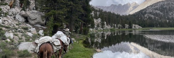 Eddy Binford-Ross Profile Banner