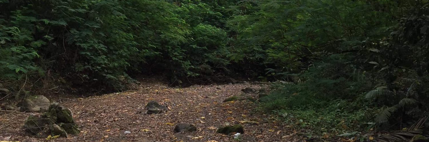 Headhunter696's profile banner image