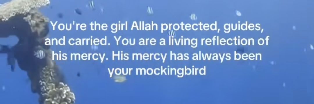 NursihDwi's profile banner image