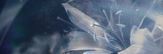 cresdot's profile banner image