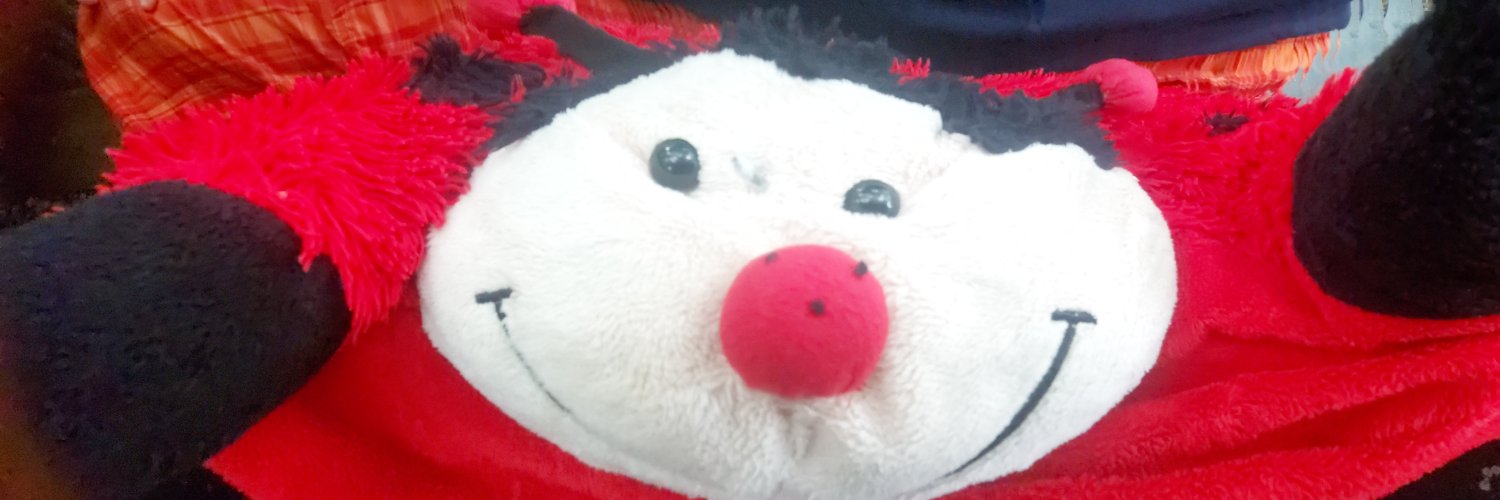 SenatorPaincake's profile banner image