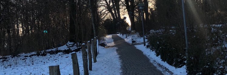 Renan_Horsth's profile banner image