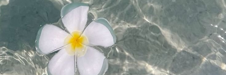 DEFJ banner