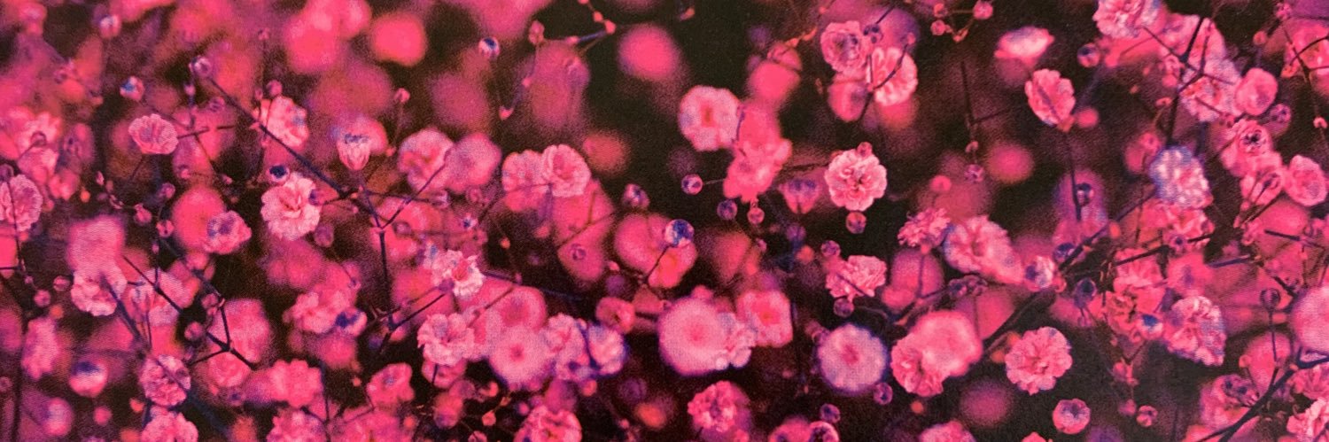 hataaa1's profile banner image