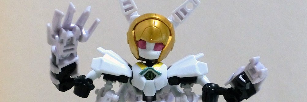 Wonder Marron banner