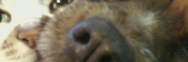 Babis83 Profile Banner