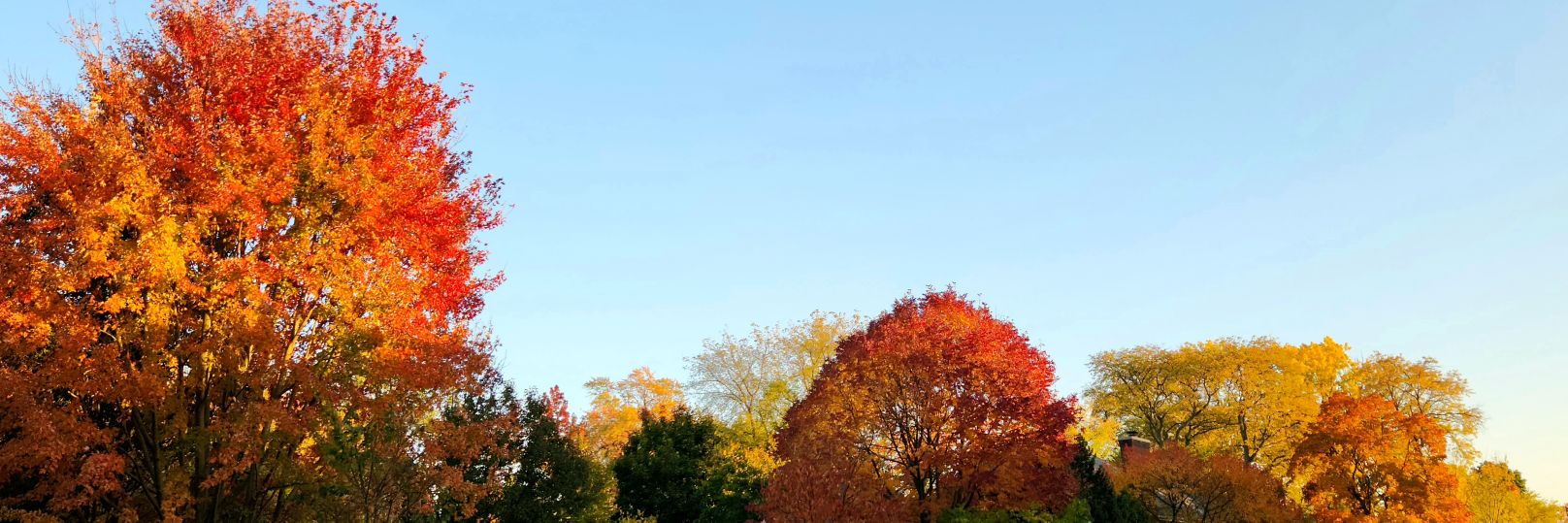 avibpatel_'s profile banner image