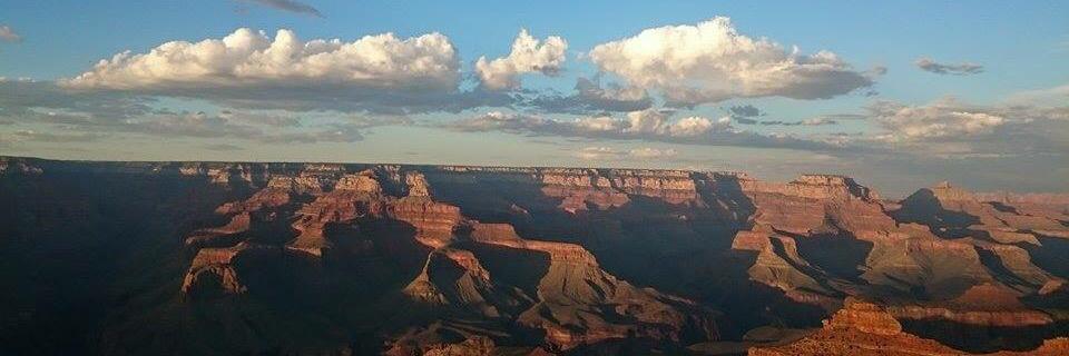 Bożena Leśniewska banner