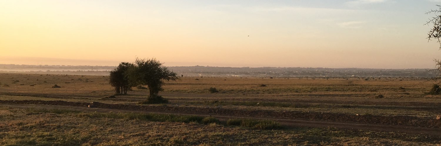 Malstvn's profile banner image