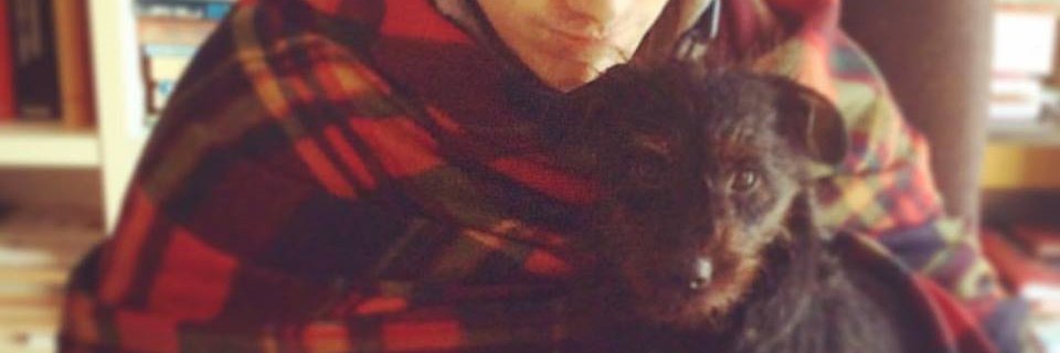 AlessandroDiga banner