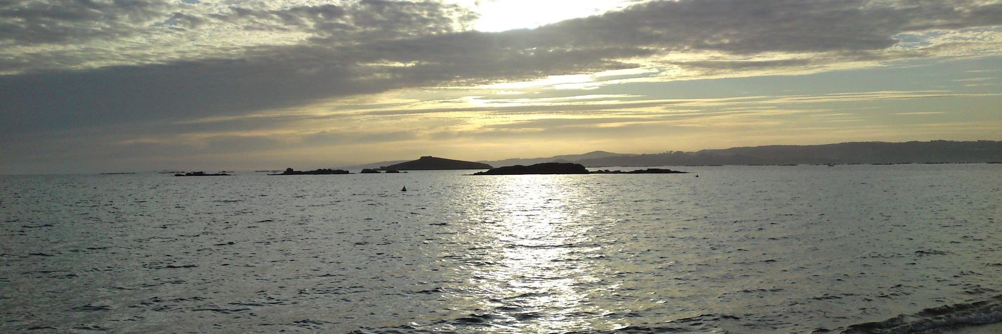Oscar banner
