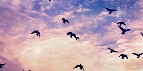 joycejemelle's profile banner image