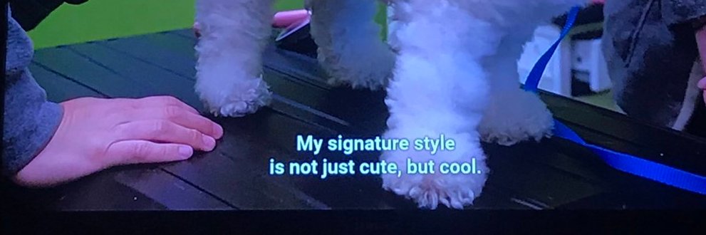 Maggie Thompson banner