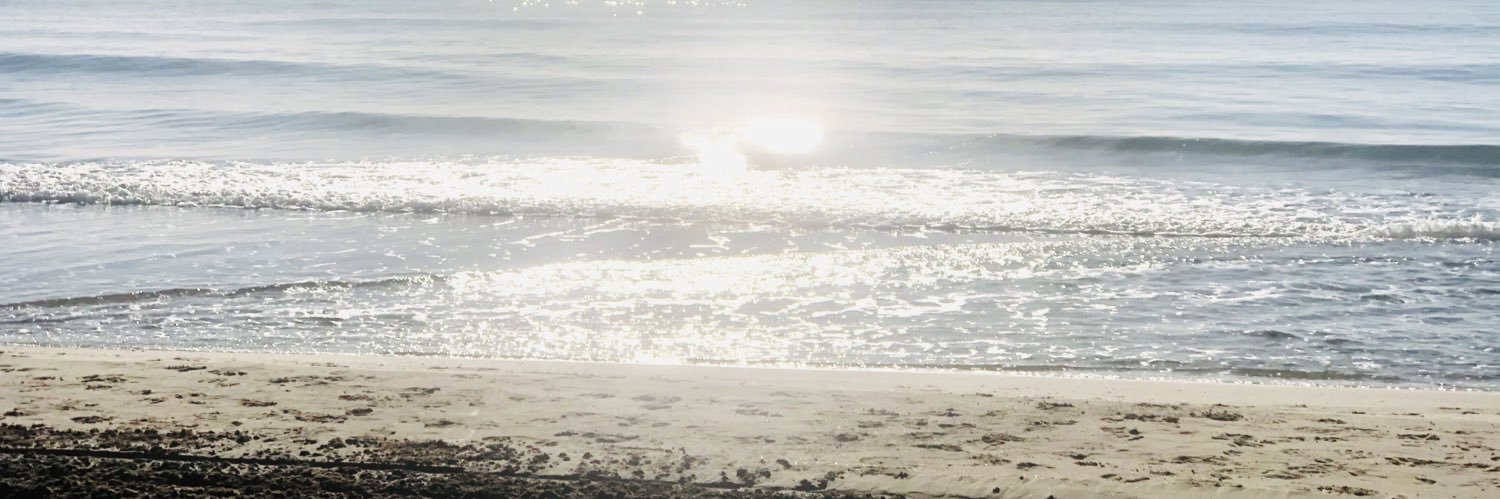 MJeMuoz's profile banner image