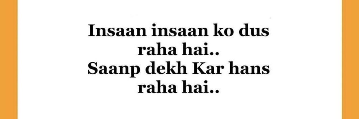 rimsha_b's profile banner image