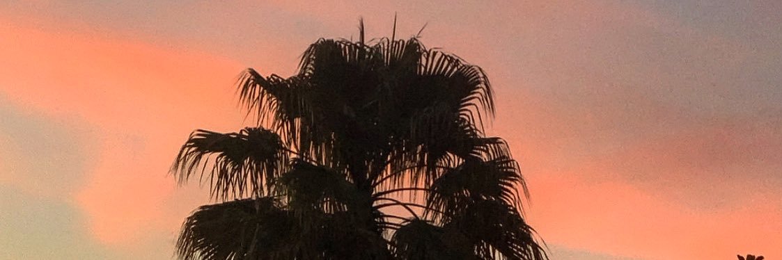 Elisadmvx's profile banner image