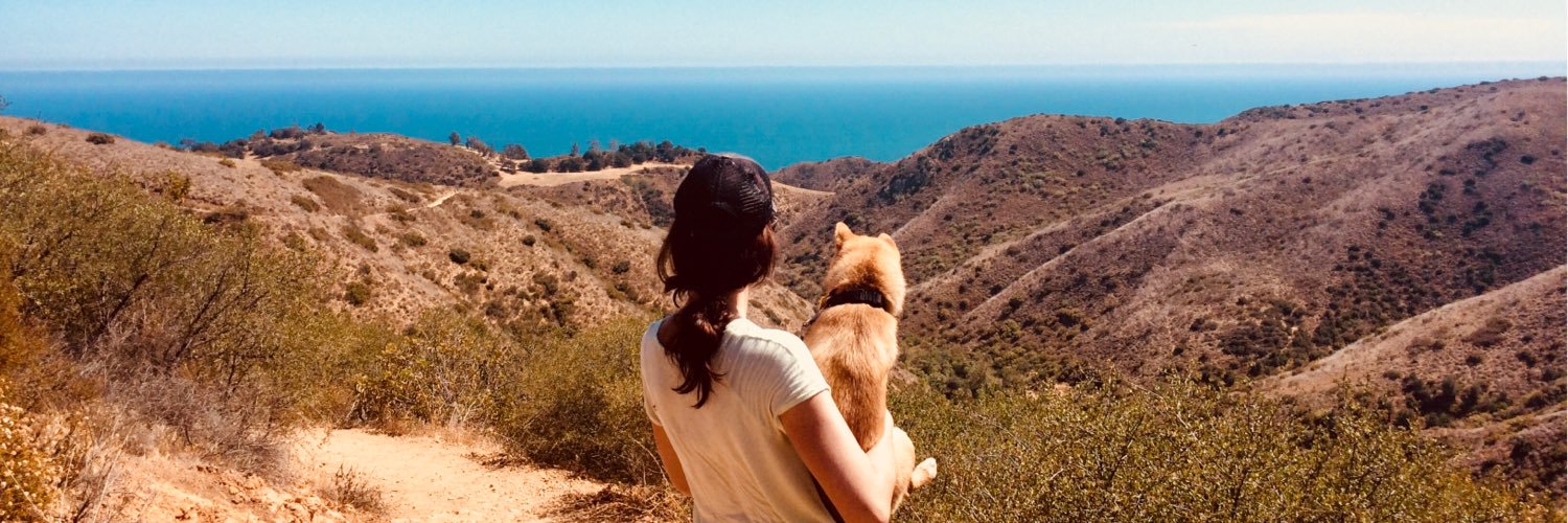 sardoubleyou's profile banner image