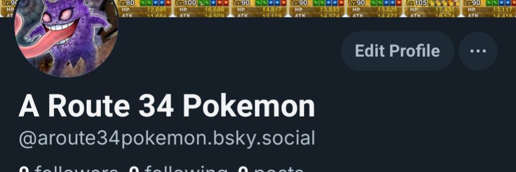 ARoute34Pokemon's profile banner image