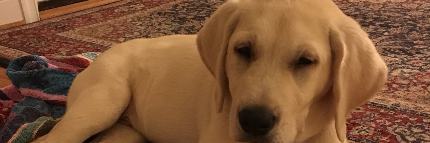 Mark LaChance banner