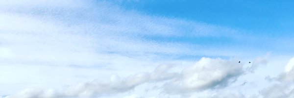 danielleonradio Profile Banner